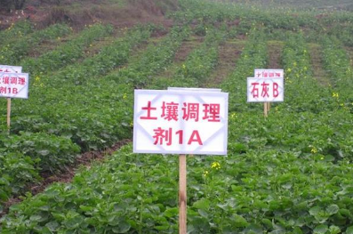 這肥料能改良土壤減少化肥投入，未來將成為農民種地首選