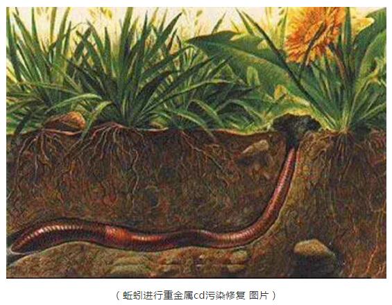 QQ截圖20190822090416.jpg