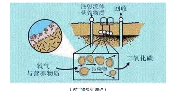 QQ截圖20190822090351.jpg