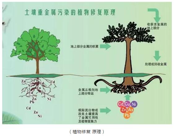 QQ截圖20190822090442.jpg